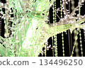 Tree-shaped illuminations 134496250