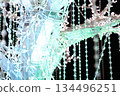Tree-shaped illuminations 134496251