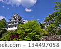 Gujo Hachiman Castle 134497058