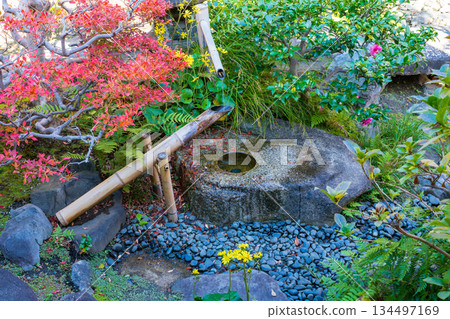 京都日本花園中的 Shishiodoshi 134497169