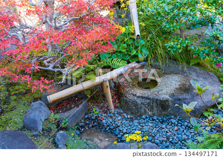 京都日本花園中的 Shishiodoshi 京都日本花園中的 Shishiodoshi 134497171