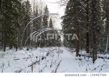 Winter landscape in the Ural Mountains Winter landscape in the Ural Mountains 134497300