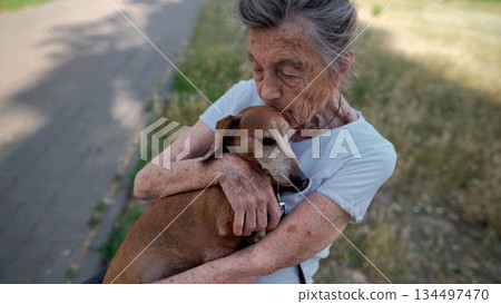 Senior 90-year-old woman with gray hair and deep wrinkles sits outdoors In assisted living facility on bench with small dachshund dog. Old female hugs and cuddles pet in the park on a bench 134497470
