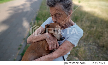 Happy senior woman holds a small dachshund dog in her arms, smiles hugs, presses and shows love to her pet on a bench in the park. Female 90 years old spends time with her best friend pet on street 134497471