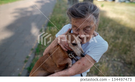 Animal theme is a lonely old woman best friend. Caucasian 90 years old senior female is happy to spend time with her pet small dachshund dog, holding her in her arms, hugging hugs and kisses outdoor Animal theme is a lonely old woman best friend. Caucasian 90 years old senior female is happy to spend time with her pet small dachshund dog, holding her in her arms, hugging hugs and kisses outdoor 134497473