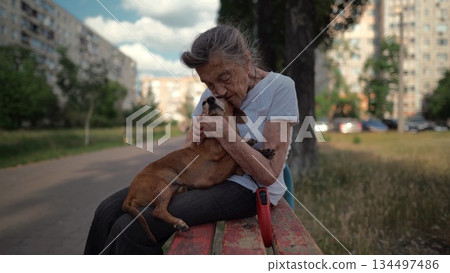 Animal theme is a lonely old woman best friend. Caucasian 90 years old senior female is happy to spend time with her pet small dachshund dog, holding her in her arms, hugging hugs and kisses outdoor Animal theme is a lonely old woman best friend. Caucasian 90 years old senior female is happy to spend time with her pet small dachshund dog, holding her in her arms, hugging hugs and kisses outdoor 134497486