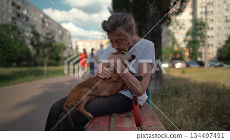 Happy senior woman holds a small dachshund dog in her arms, smiles hugs, presses and shows love to her pet on a bench in the park. Female 90 years old spends time with her best friend pet on street 134497491