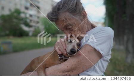 Animal theme is a lonely old woman best friend. Caucasian 90 years old senior female is happy to spend time with her pet small dachshund dog, holding her in her arms, hugging hugs and kisses outdoor Animal theme is a lonely old woman best friend. Caucasian 90 years old senior female is happy to spend time with her pet small dachshund dog, holding her in her arms, hugging hugs and kisses outdoor 134497496