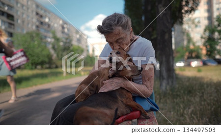 Happy senior woman holds a small dachshund dog in her arms, smiles hugs, presses and shows love to her pet on a bench in the park. Female 90 years old spends time with her best friend pet on street 134497503