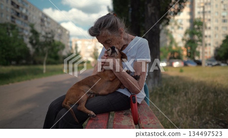 Happy senior woman holds a small dachshund dog in her arms, smiles hugs, presses and shows love to her pet on a bench in the park. Female 90 years old spends time with her best friend pet on street Happy senior woman holds a small dachshund dog in her arms, smiles hugs, presses and shows love to her pet on a bench in the park. Female 90 years old spends time with her best friend pet on street 134497523