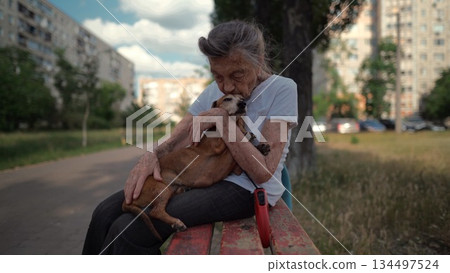 Happy senior woman holds a small dachshund dog in her arms, smiles hugs, presses and shows love to her pet on a bench in the park. Female 90 years old spends time with her best friend pet on street 134497524