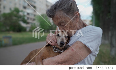 Animal theme is a lonely old woman best friend. Caucasian 90 years old senior female is happy to spend time with her pet small dachshund dog, holding her in her arms, hugging hugs and kisses outdoor Animal theme is a lonely old woman best friend. Caucasian 90 years old senior female is happy to spend time with her pet small dachshund dog, holding her in her arms, hugging hugs and kisses outdoor 134497525