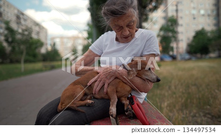 Happy senior woman holds a small dachshund dog in her arms, smiles hugs, presses and shows love to her pet on a bench in the park. Female 90 years old spends time with her best friend pet on street Happy senior woman holds a small dachshund dog in her arms, smiles hugs, presses and shows love to her pet on a bench in the park. Female 90 years old spends time with her best friend pet on street 134497534