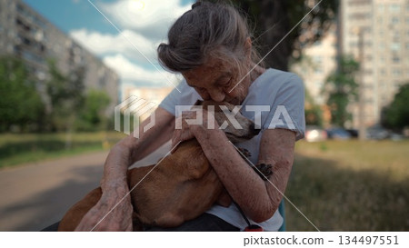 Happy senior woman holds a small dachshund dog in her arms, smiles hugs, presses and shows love to her pet on a bench in the park. Female 90 years old spends time with her best friend pet on street 134497551