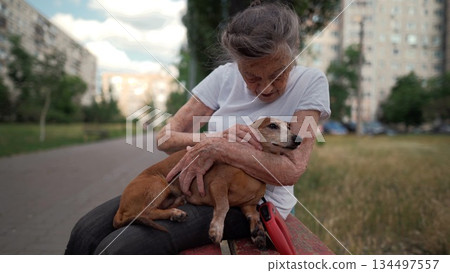 Animal theme is a lonely old woman best friend. Caucasian 90 years old senior female is happy to spend time with her pet small dachshund dog, holding her in her arms, hugging hugs and kisses outdoor 134497557