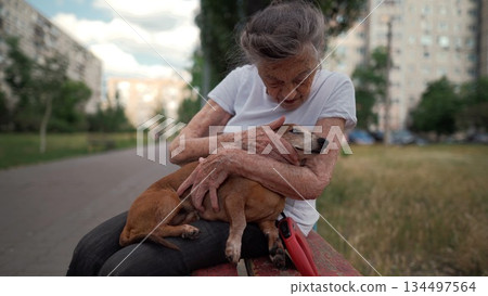 Happy senior woman holds a small dachshund dog in her arms, smiles hugs, presses and shows love to her pet on a bench in the park. Female 90 years old spends time with her best friend pet on street 134497564