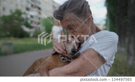 Senior 90-year-old woman with gray hair and deep wrinkles sits outdoors In assisted living facility on bench with small dachshund dog. Old female hugs and cuddles pet in the park on a bench 134497565