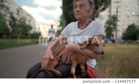 Animal theme is a lonely old woman best friend. Caucasian 90 years old senior female is happy to spend time with her pet small dachshund dog, holding her in her arms, hugging hugs and kisses outdoor Animal theme is a lonely old woman best friend. Caucasian 90 years old senior female is happy to spend time with her pet small dachshund dog, holding her in her arms, hugging hugs and kisses outdoor 134497577