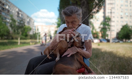 Animal theme is a lonely old woman best friend. Caucasian 90 years old senior female is happy to spend time with her pet small dachshund dog, holding her in her arms, hugging hugs and kisses outdoor Animal theme is a lonely old woman best friend. Caucasian 90 years old senior female is happy to spend time with her pet small dachshund dog, holding her in her arms, hugging hugs and kisses outdoor 134497583
