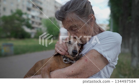 Happy senior woman holds a small dachshund dog in her arms, smiles hugs, presses and shows love to her pet on a bench in the park. Female 90 years old spends time with her best friend pet on street 134497584