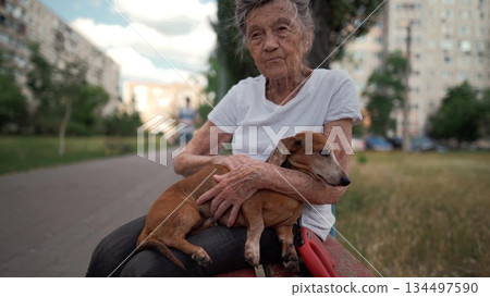 Senior 90-year-old woman with gray hair and deep wrinkles sits outdoors In assisted living facility on bench with small dachshund dog. Old female hugs and cuddles pet in the park on a bench 134497590