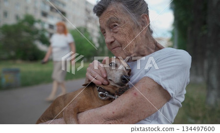 Animal theme is a lonely old woman best friend. Caucasian 90 years old senior female is happy to spend time with her pet small dachshund dog, holding her in her arms, hugging hugs and kisses outdoor Animal theme is a lonely old woman best friend. Caucasian 90 years old senior female is happy to spend time with her pet small dachshund dog, holding her in her arms, hugging hugs and kisses outdoor 134497600