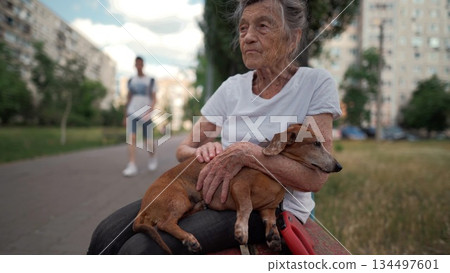 Happy senior woman holds a small dachshund dog in her arms, smiles hugs, presses and shows love to her pet on a bench in the park. Female 90 years old spends time with her best friend pet on street 134497601