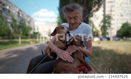 Animal theme is a lonely old woman best friend. Caucasian 90 years old senior female is happy to spend time with her pet small dachshund dog, holding her in her arms, hugging hugs and kisses outdoor 134497626