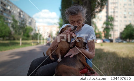 Happy senior woman holds a small dachshund dog in her arms, smiles hugs, presses and shows love to her pet on a bench in the park. Female 90 years old spends time with her best friend pet on street 134497630