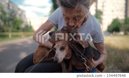 Senior 90-year-old woman with gray hair and deep wrinkles sits outdoors In assisted living facility on bench with small dachshund dog. Old female hugs and cuddles pet in the park on a bench 134497646