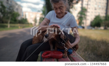 Senior 90-year-old woman with gray hair and deep wrinkles sits outdoors In assisted living facility on bench with small dachshund dog. Old female hugs and cuddles pet in the park on a bench 134497668