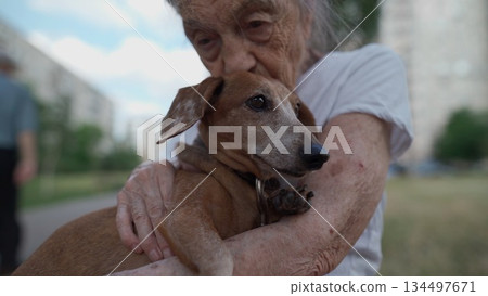 Senior 90-year-old woman with gray hair and deep wrinkles sits outdoors In assisted living facility on bench with small dachshund dog. Old female hugs and cuddles pet in the park on a bench 134497671