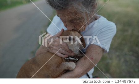Senior 90-year-old woman with gray hair and deep wrinkles sits outdoors In assisted living facility on bench with small dachshund dog. Old female hugs and cuddles pet in the park on a bench 134497672