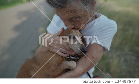 Animal theme is a lonely old woman best friend. Caucasian 90 years old senior female is happy to spend time with her pet small dachshund dog, holding her in her arms, hugging hugs and kisses outdoor 134497677