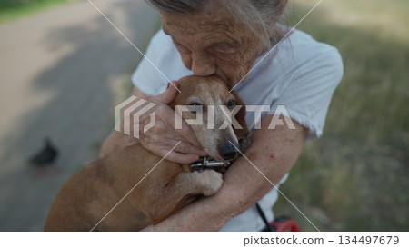 Senior 90-year-old woman with gray hair and deep wrinkles sits outdoors In assisted living facility on bench with small dachshund dog. Old female hugs and cuddles pet in the park on a bench 134497679