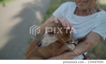 Happy senior woman holds a small dachshund dog in her arms, smiles hugs, presses and shows love to her pet on a bench in the park. Female 90 years old spends time with her best friend pet on street 134497694