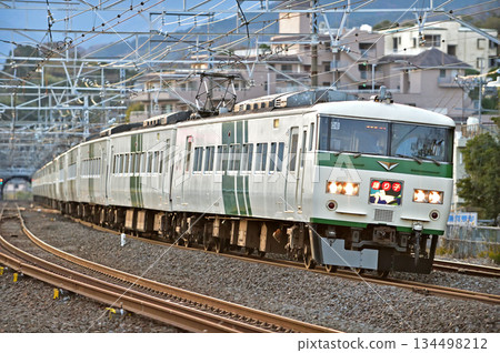 東海道線 真鶴 JR 東日本 185 系 C6 編組（大宮）大通子 134498212