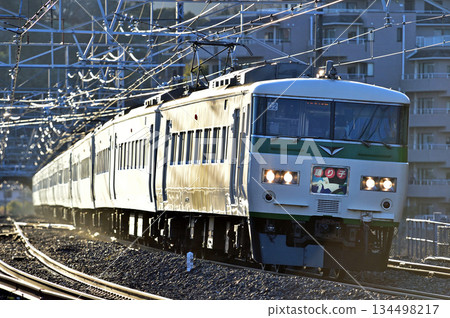 東海道本線萬鶴JR東日本系列185 C2編隊（大宮）舞者 134498217