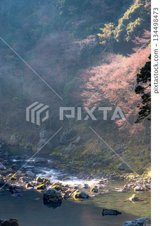 Takachiho Gorge shrouded in mist and light - a fantastic natural landscape Takachiho Gorge shrouded in mist and light - a fantastic natural landscape 134498473