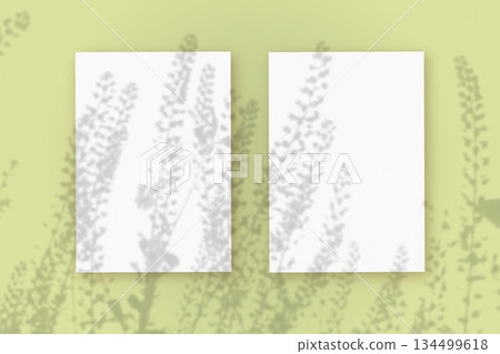 Natural light casts shadows from wildflowers on 2 vertical sheets of white paper lying on a green background. Mockup 134499618