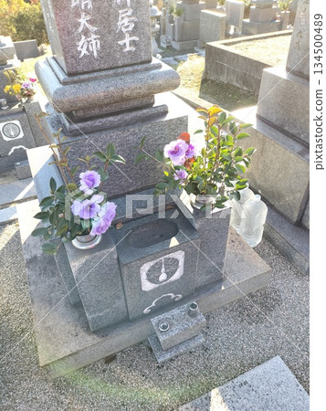 Buddha flowers offered to the grave Buddha flowers offered to the grave 134500489