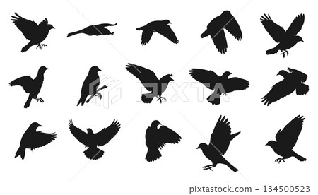 Flying birds silhouette set vector. Flock of bird shapes in flight illustration vector 134500523