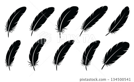 Feather silhouette collection vector. Bird quill shapes set illustration vector 134500541