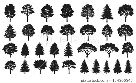 Tree species silhouette set vector. Forest woodland plant shapes collection illustration vector 134500543