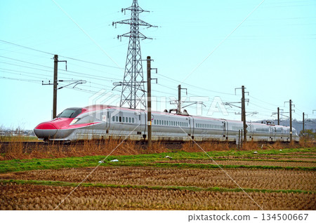 奧羽幹線 秋田四谷屋 JR東日本 E6系列（秋季）小町 134500667