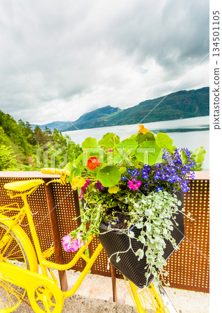 Bike with flowers and fjord Norway Bike with flowers and fjord Norway 134501105