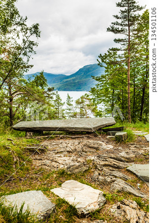 Fjord landscape, Saudafjord in Norway Fjord landscape, Saudafjord in Norway 134501106