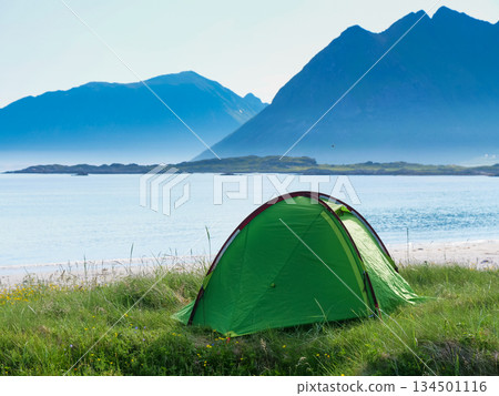 Seascape with tent on beach, Lofoten Norway Seascape with tent on beach, Lofoten Norway 134501116