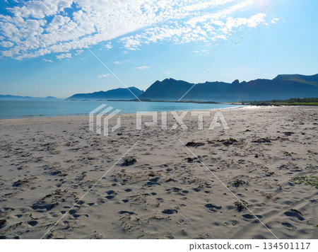 Sea coast with sandy beach,Lofoten Norway Sea coast with sandy beach,Lofoten Norway 134501117