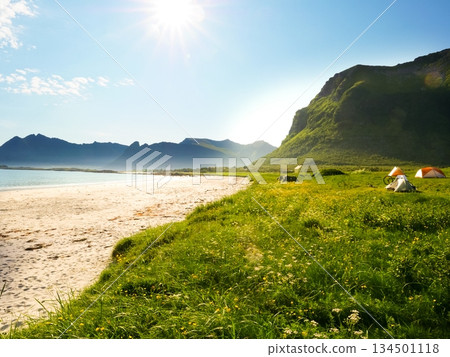 Seascape with tent on beach, Lofoten Norway Seascape with tent on beach, Lofoten Norway 134501118
